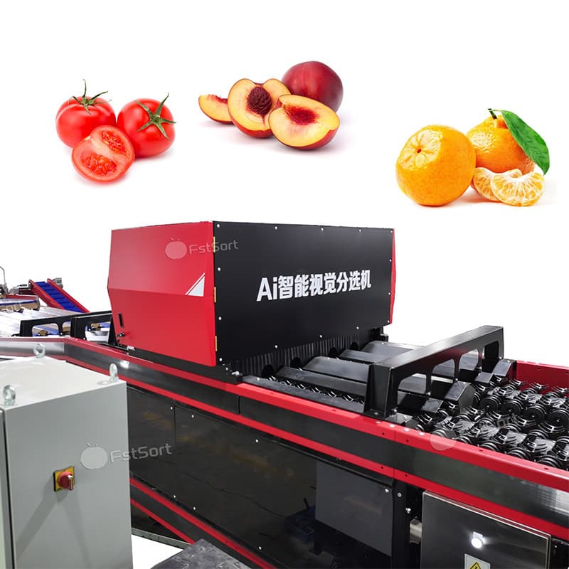 images/1769570913382citrus 6.jpg